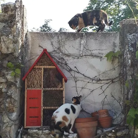 Au Perche * Mareil-sur-Mauldre