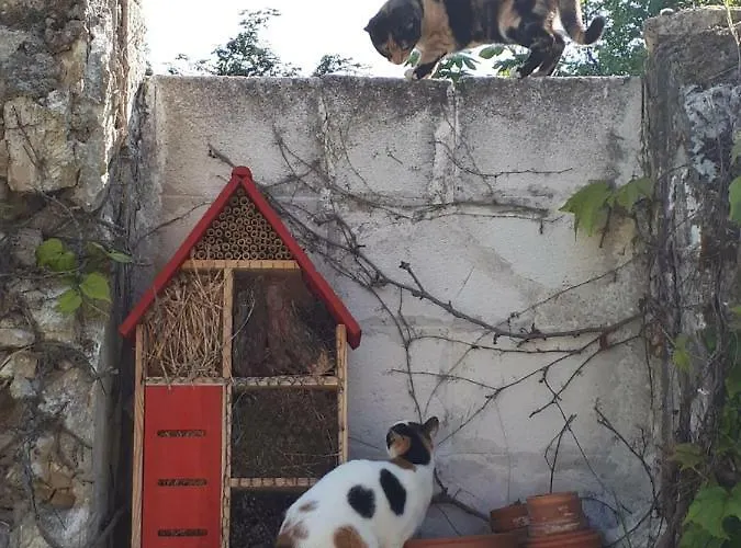 Au Perche * Mareil-sur-Mauldre