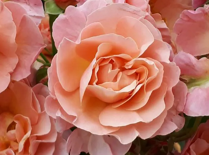 Bed & Breakfast Au Perche